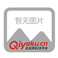 供應(yīng)T恤 短袖T恤　色織Ｔ恤　反領(lǐng)Ｔ恤　純棉Ｔ恤